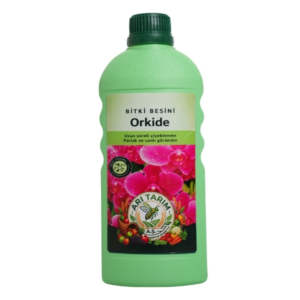 Orkide Bitki Besini